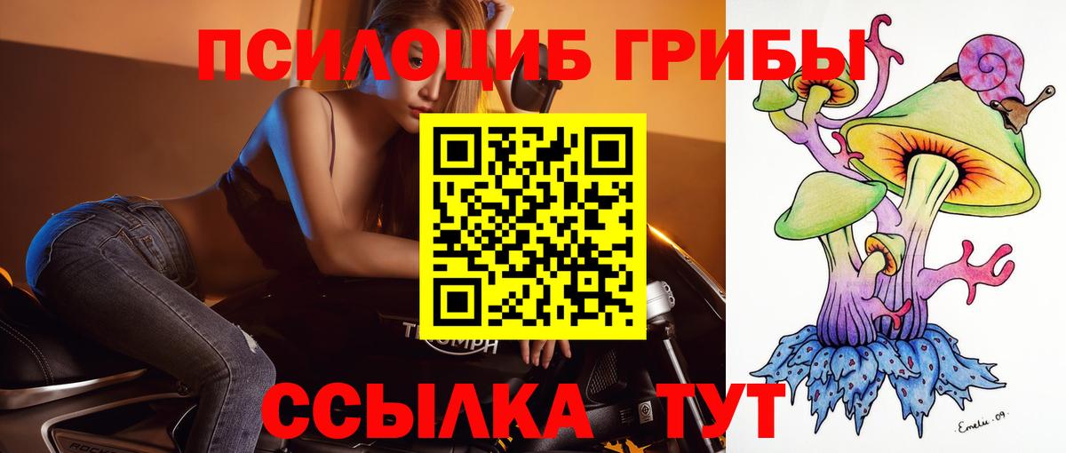 Фролово  Псилоцибиновые грибы GOLDEN TEACHER  купить   Псилоцибиновые грибы MAGIC MUSHROOMS  Вход с VPN 